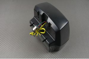 Fanale posteriore indicatori di direzione integrato BMW R45 / 60 / 65 / 80 / 100 1978 - 1995