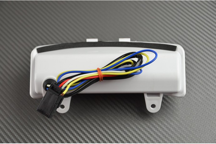 Kit indicatori di direzione posteriori a LED per Harley-Davidson Slim 1690