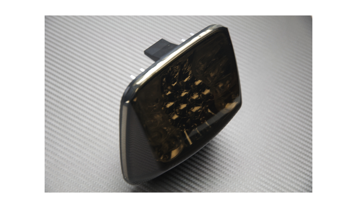 Rear LED Tail light with Turn Signals HARLEY DAVIDSON VROD VROD V ROD