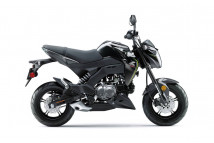 Z125 PRO BR125 2016-2026