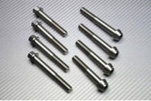 Caliper screws and bolts