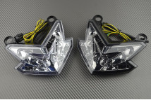LED Tail Light with Integrated Turn Signals