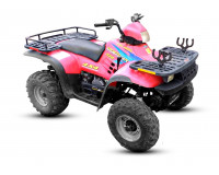 Polaris SPORTSMAN 335 1995-2001