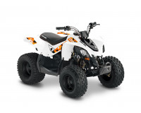CAN-AM DS 90 2007-2023
