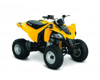 CAN- AM DS 250 2005-2023