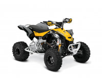 CAN-AM DS 450 2008-2015