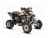 CAN-AM DS 650 2002-2023
