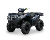 BRUTE FORCE 750 2024-X