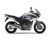 Yamaha TDM 900 2004-2014
