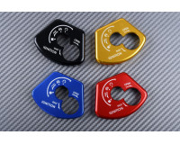 Key Surround / Ignition Lock